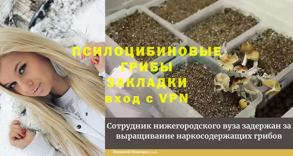 apvp Алексин