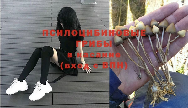 apvp Алексин