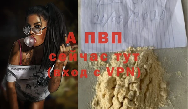 apvp Алексин